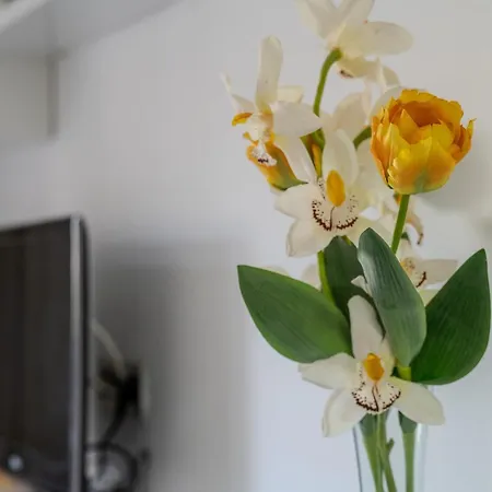 Cristianos - Cris Sol 아파트 *