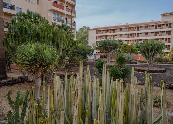 Apartamento Cristianos - Cris Sol Los Cristianos (Tenerife)
