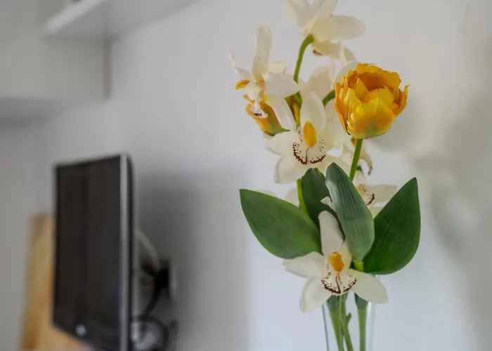 Cristianos - Cris Sol Apartament *