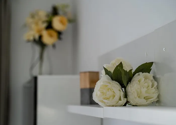 Cristianos - Cris Sol * Los Cristianos (Tenerife)