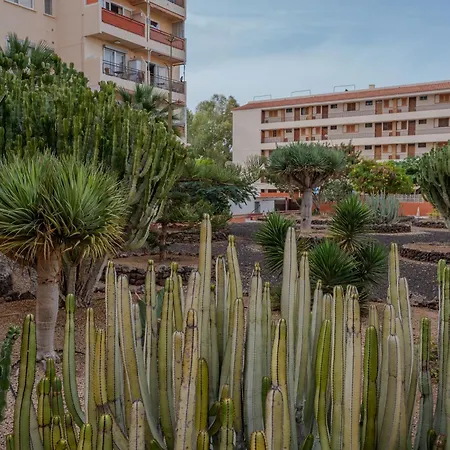 Apartment Cristianos - Cris Sol Los Cristianos (Tenerife)